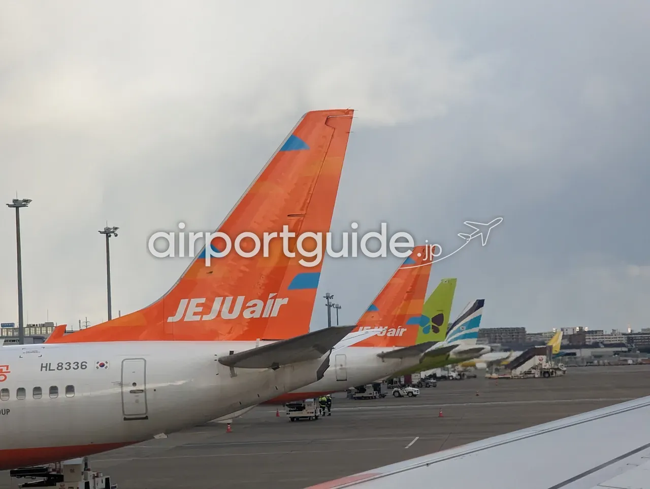 曇り空の福岡空港エプロン。手前に済州航空（JEJU air・機体記号HL8336）のオレンジ尾翼、その奥にジンエアー（Jin Air）など韓国系LCCの尾翼が一列に並び、地上作業車が動く。手前に自機の主翼。