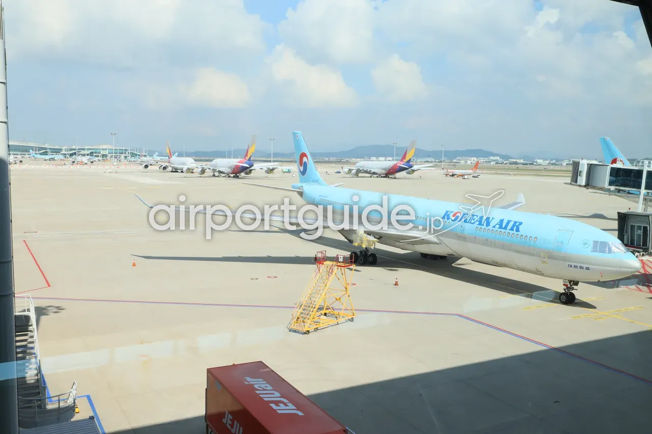 仁川空港の搭乗口の窓から見たエプロン（駐機場）。手前に大韓航空（KOREAN AIR）のワイドボディ機、奥にアシアナ航空機が複数駐機する快晴の眺め。