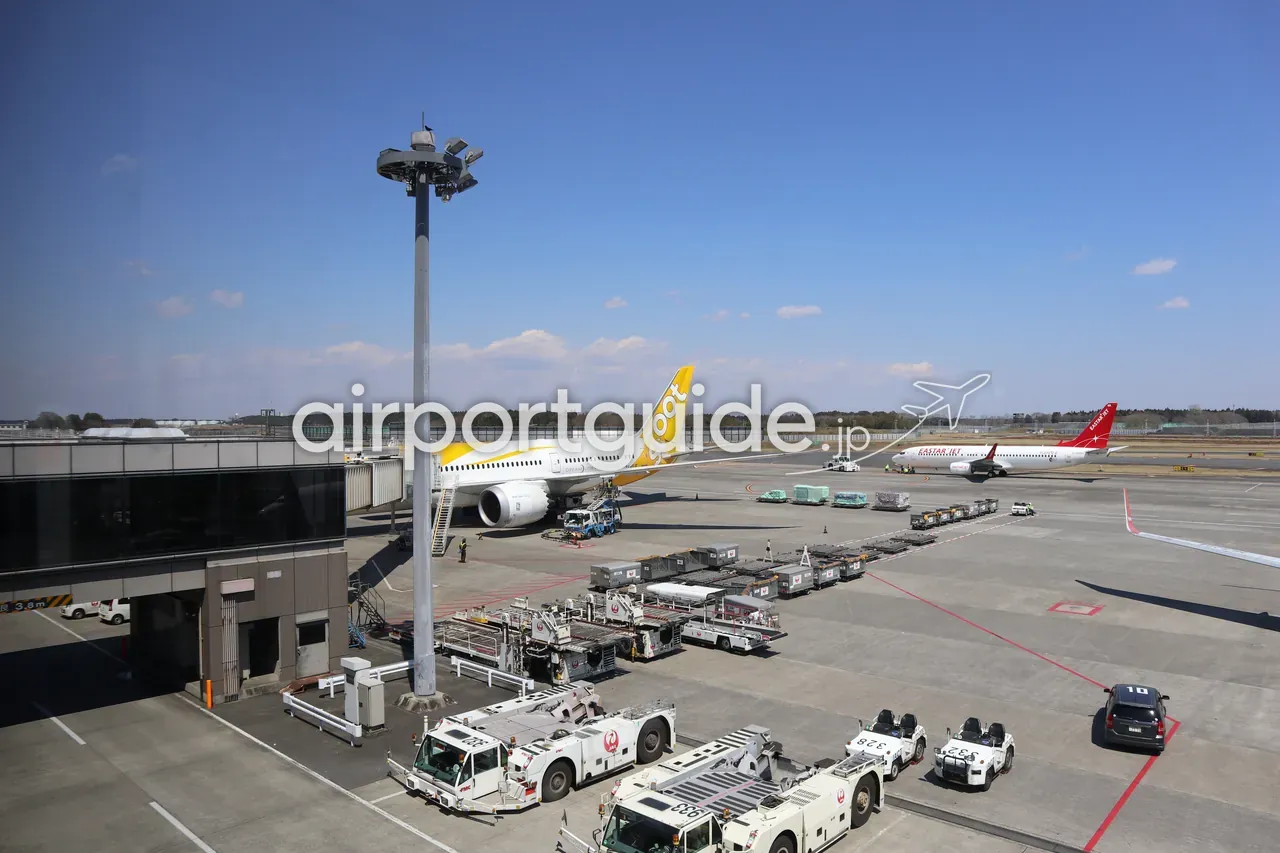 成田空港のエプロンを見下ろす広角。黄色のスクート（Scoot）機やLCC機が駐機し、手前にJALの牽引車やULDカートが並ぶ晴天。