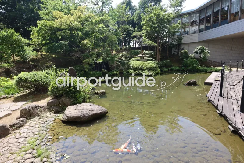 日本庭園。錦鯉の池に石灯籠。