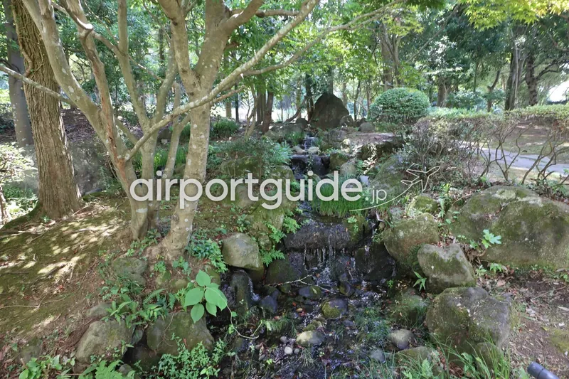ホテル庭園の小川。苔むした石を流れるせせらぎと木立。