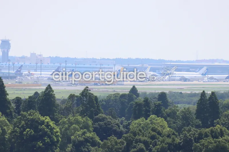 成田空港の駐機場を望遠で捉えた景。ANA CargoやFedExなどの貨物機が並ぶ。