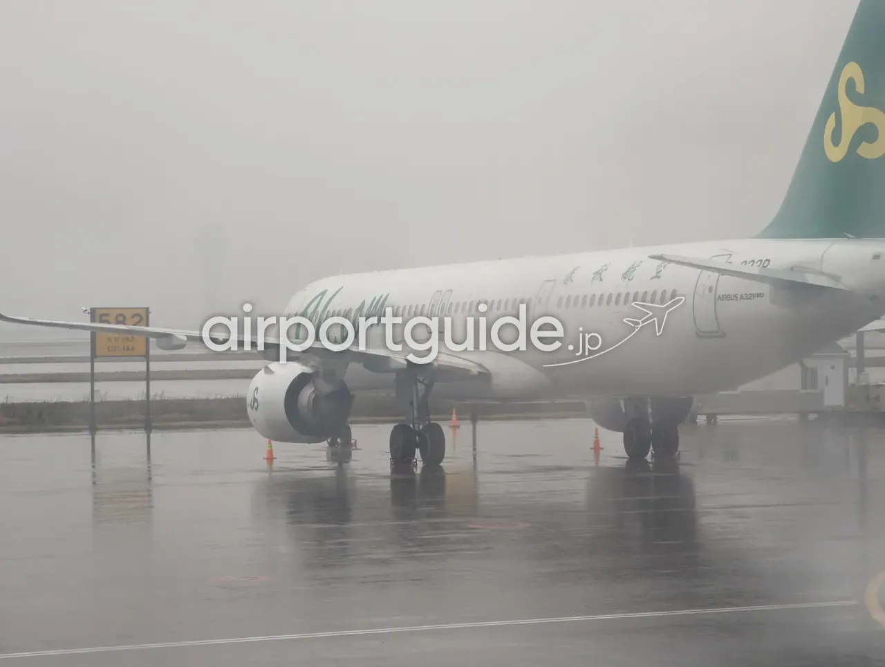 上海浦東空港の霧の駐機場に停まる春秋航空(Spring Airlines)のエアバスA321neo。緑ロゴの機体、手前に駐機位置『582』の標識とカラーコーン、濡れたエプロン、霧に霞む管制塔。