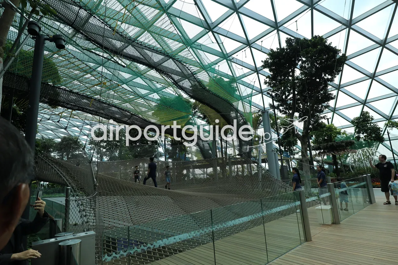 ジュエル・チャンギ最上部「Canopy Park」のウォーキングネット。ガラスドームの下、樹木のあいだに張られた巨大な網の上を来場者が歩く。